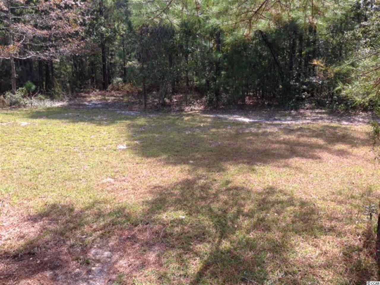 2525 Smiley Lane Conway, SC 29526 - Photo 10 of 15 Gallery Image 10