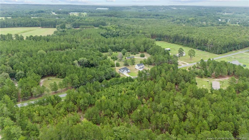 2902 Calloway (lot 1) Road Rockingham, NC 28379 - Photo 9 of 44 a view of a lush green forest with lots of trees