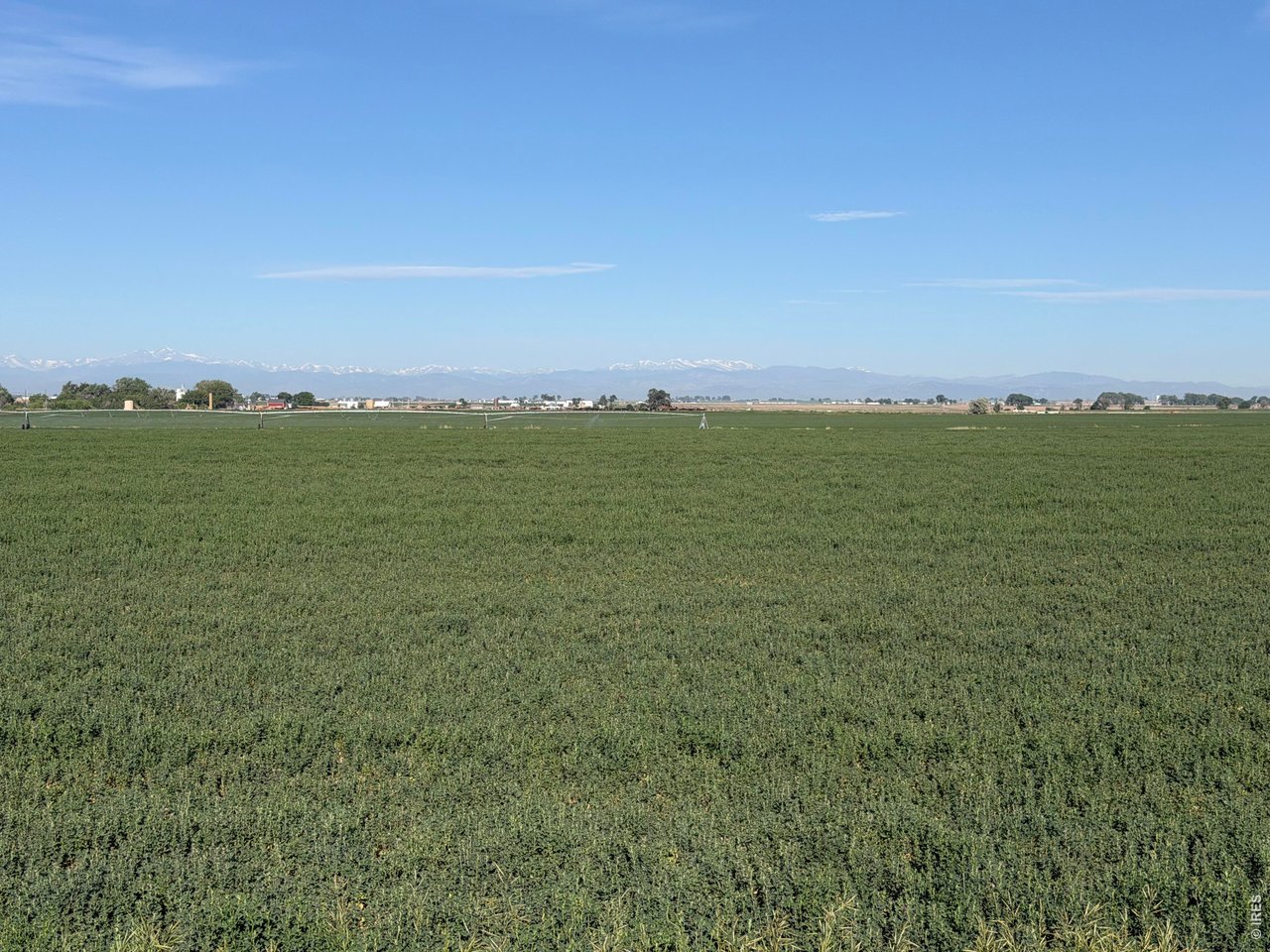 70 County Road Eaton, CO 80615 - Photo 13 of 17