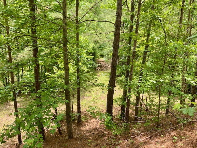 0 Pete Johnson Road Tignall, GA 30668 - Photo 33 of 43 From Dam looking towards Creek