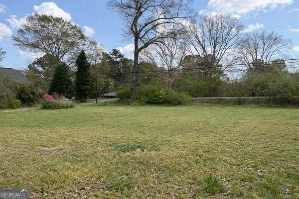 a view of a yard with a tree
