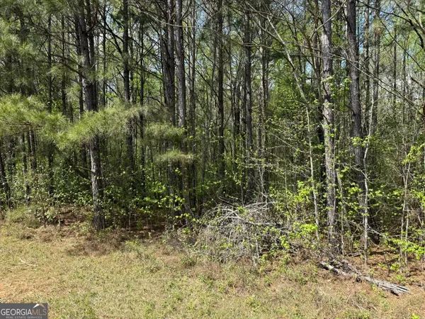 a view of yard along with trees