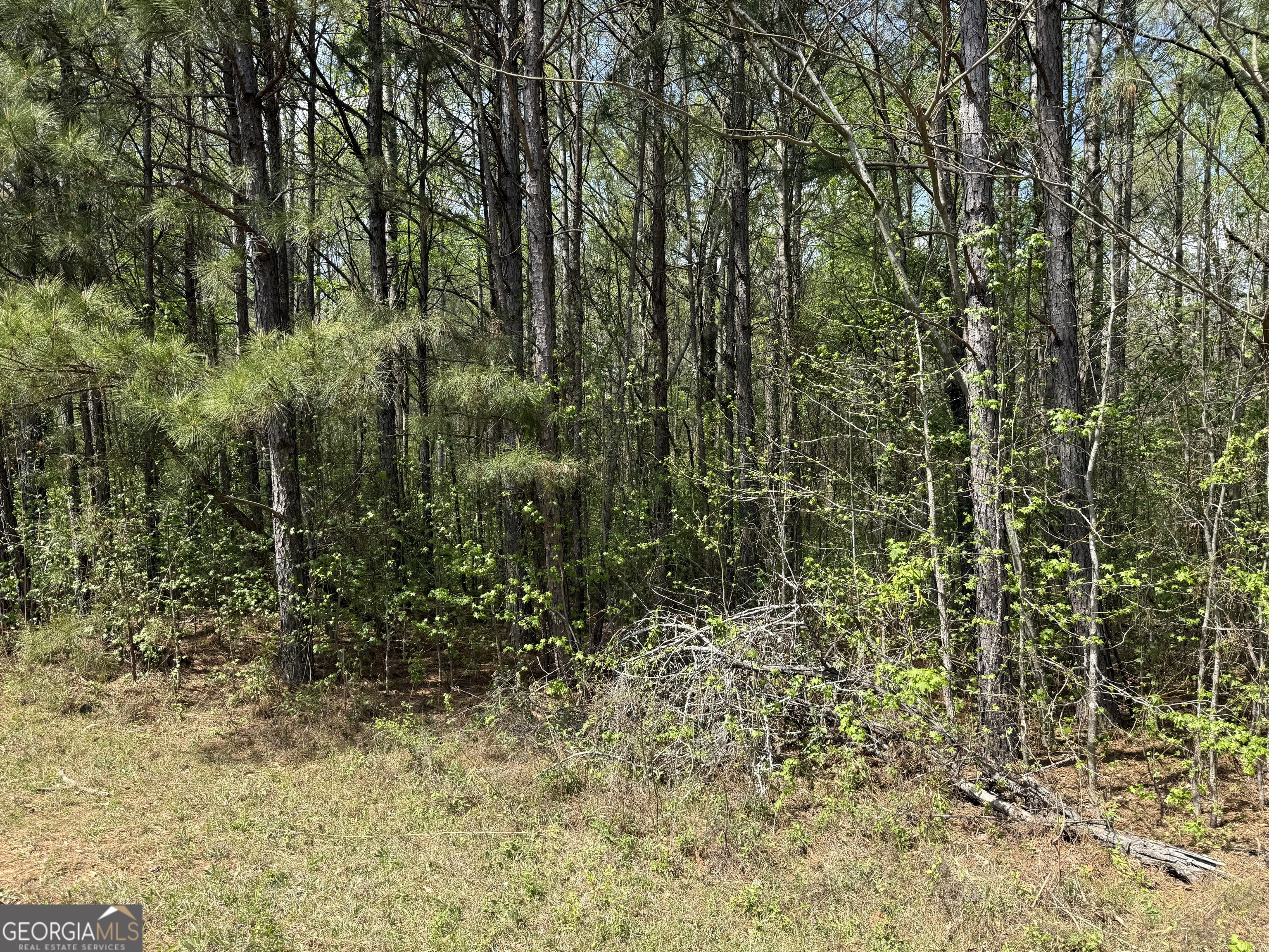 610 East Johnson Street Temple, GA 30179 - Photo 13 of 20 a view of a yard with a tree