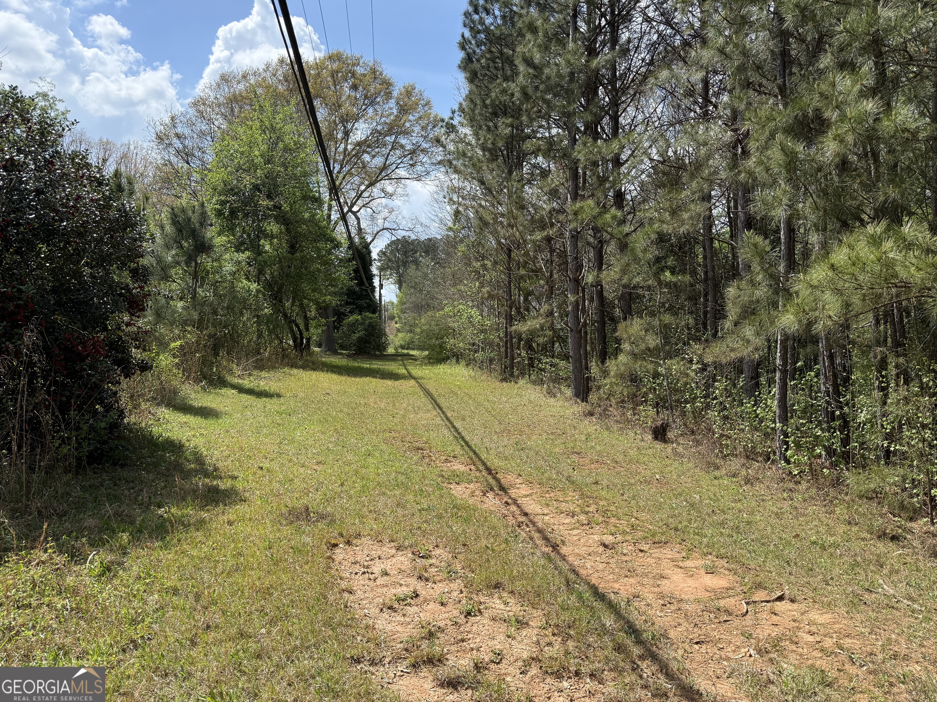 610 East Johnson Street Temple, GA 30179 - Photo 14 of 20 a view of yard along with trees
