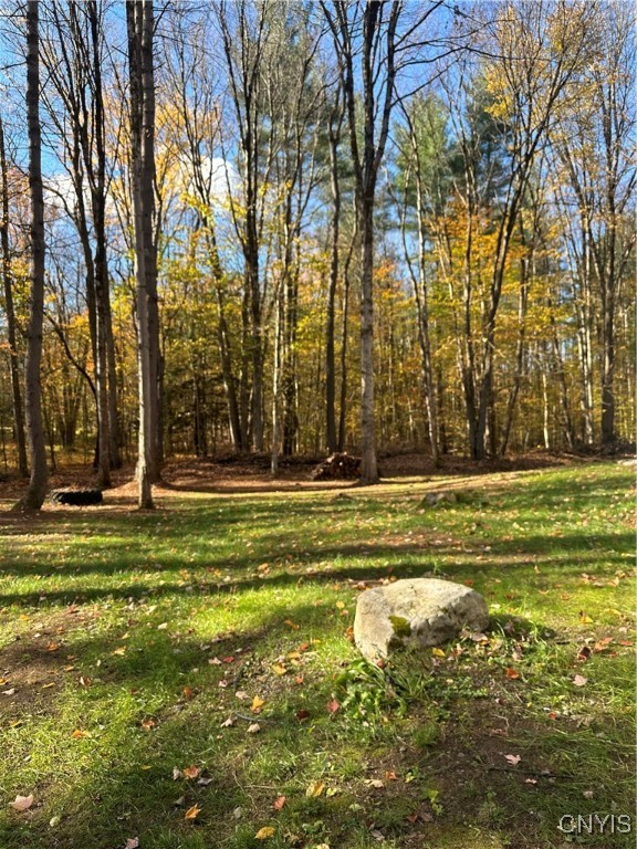 8051 Saltzman Road Vienna, NY 13308 - Photo 21 of 23