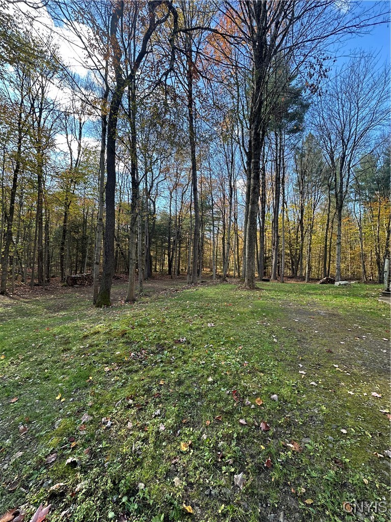 8051 Saltzman Road Vienna, NY 13308 - Photo 3 of 23