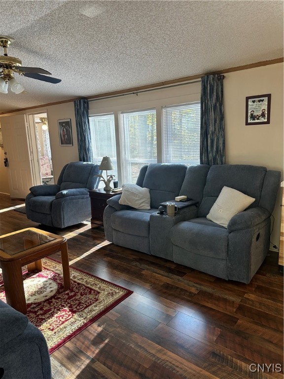 8051 Saltzman Road Vienna, NY 13308 - Photo 6 of 23