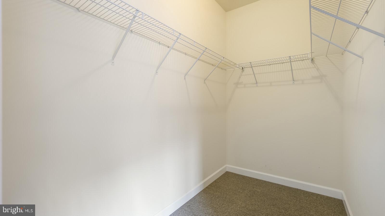 3686 Jacob Stout Road Doylestown, PA 18902 - Photo 19 of 32 WALK-IN CLOSET
