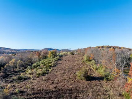 a view of a dry yard with mountains in the background