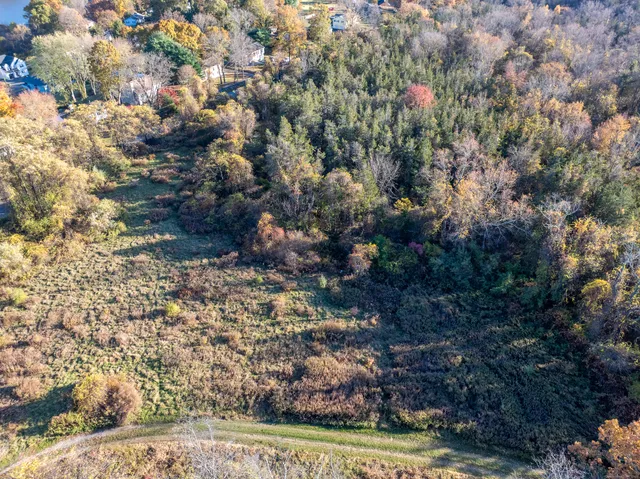 a view of a yard with plants