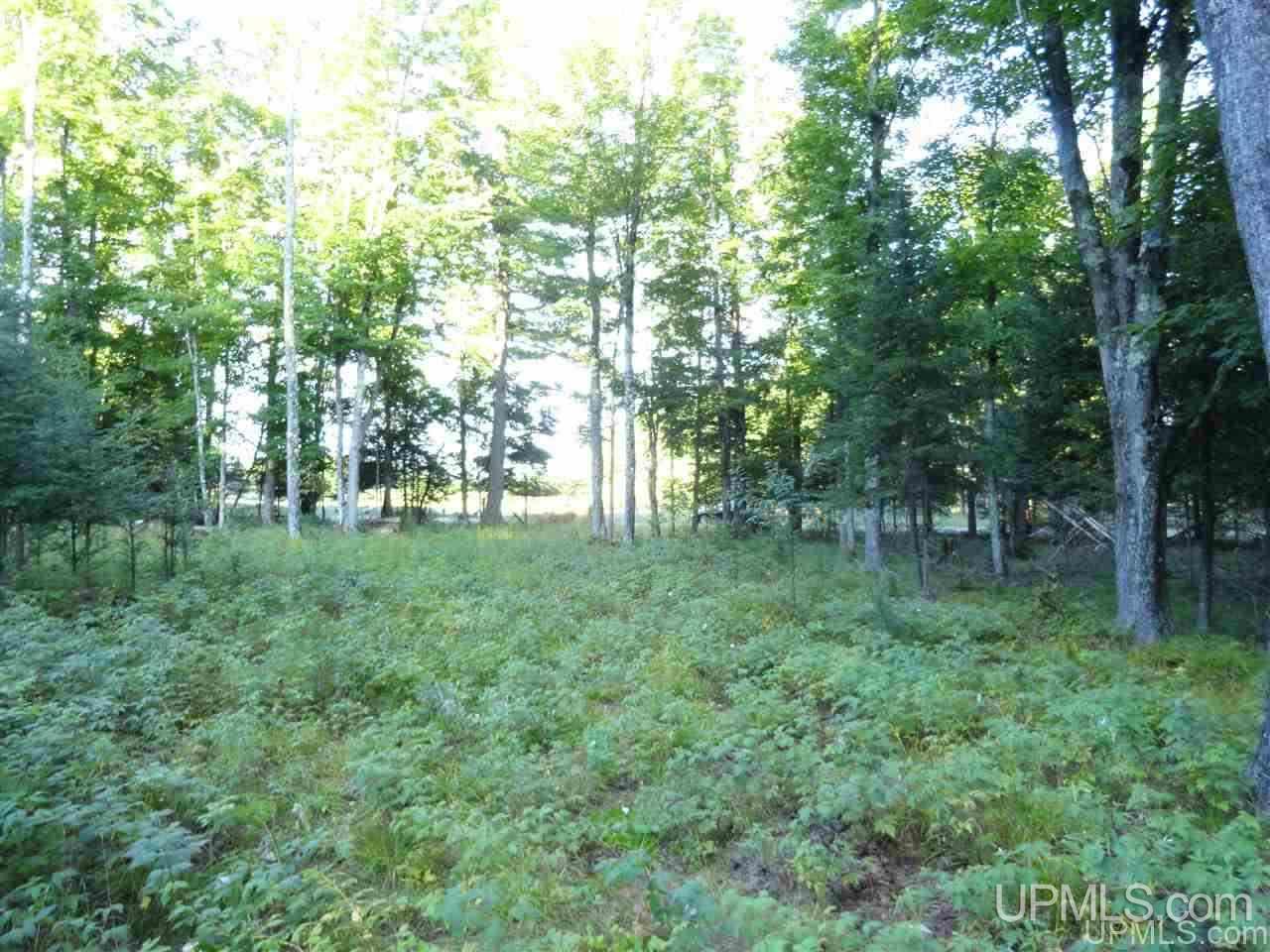 5-acres Co Rd Sa Cornell, MI 49818 - Photo 17 of 27