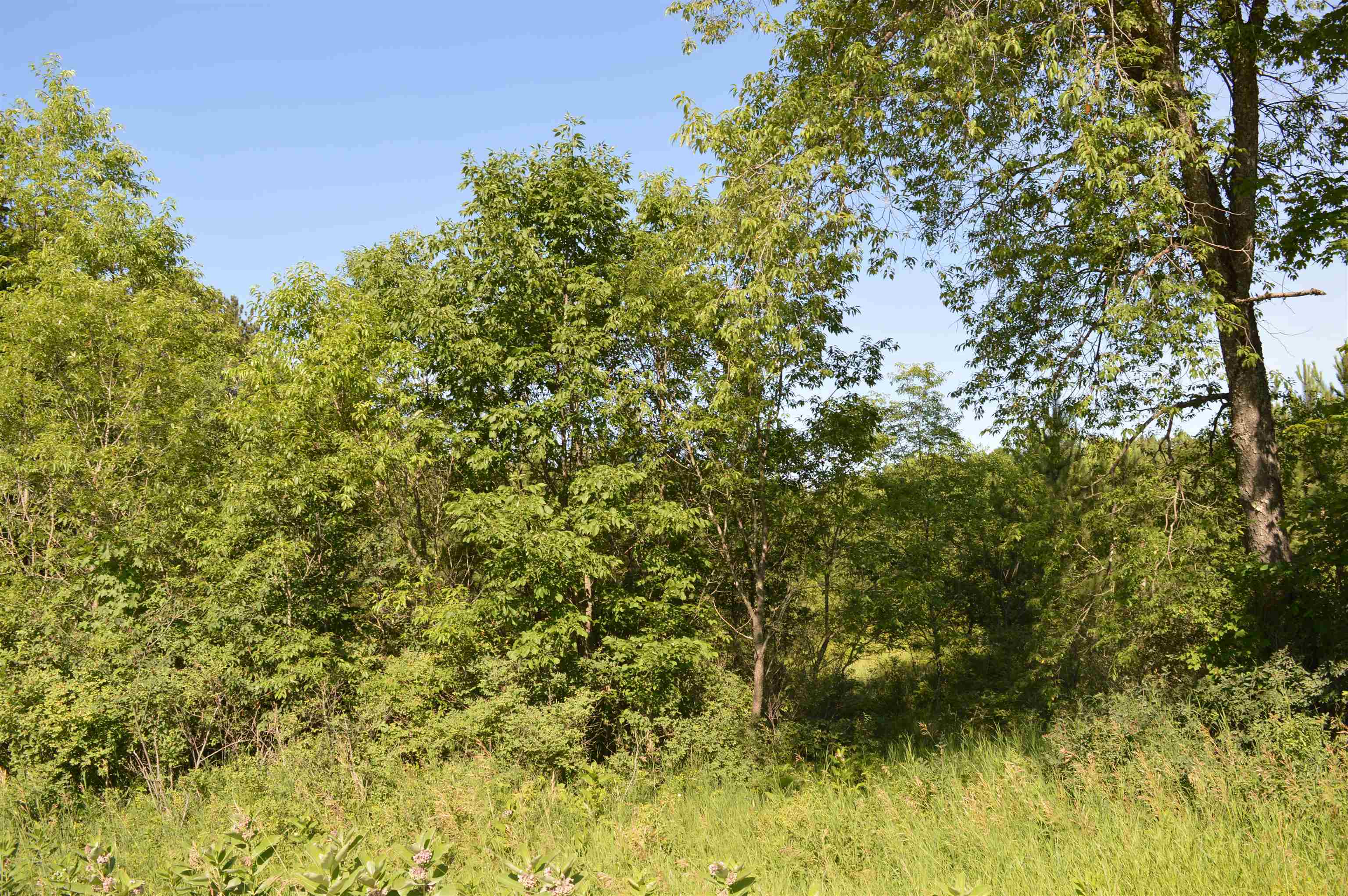 Northeast Holly Road, Unit LOT: A Kalkaska, MI 49646 - Photo 5 of 27