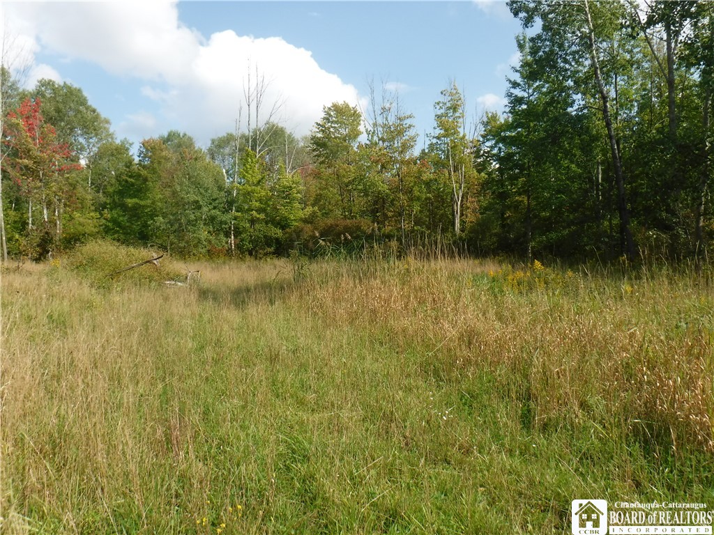 4498 Johnson Road Ellery, NY 14701 - Photo 1 of 1