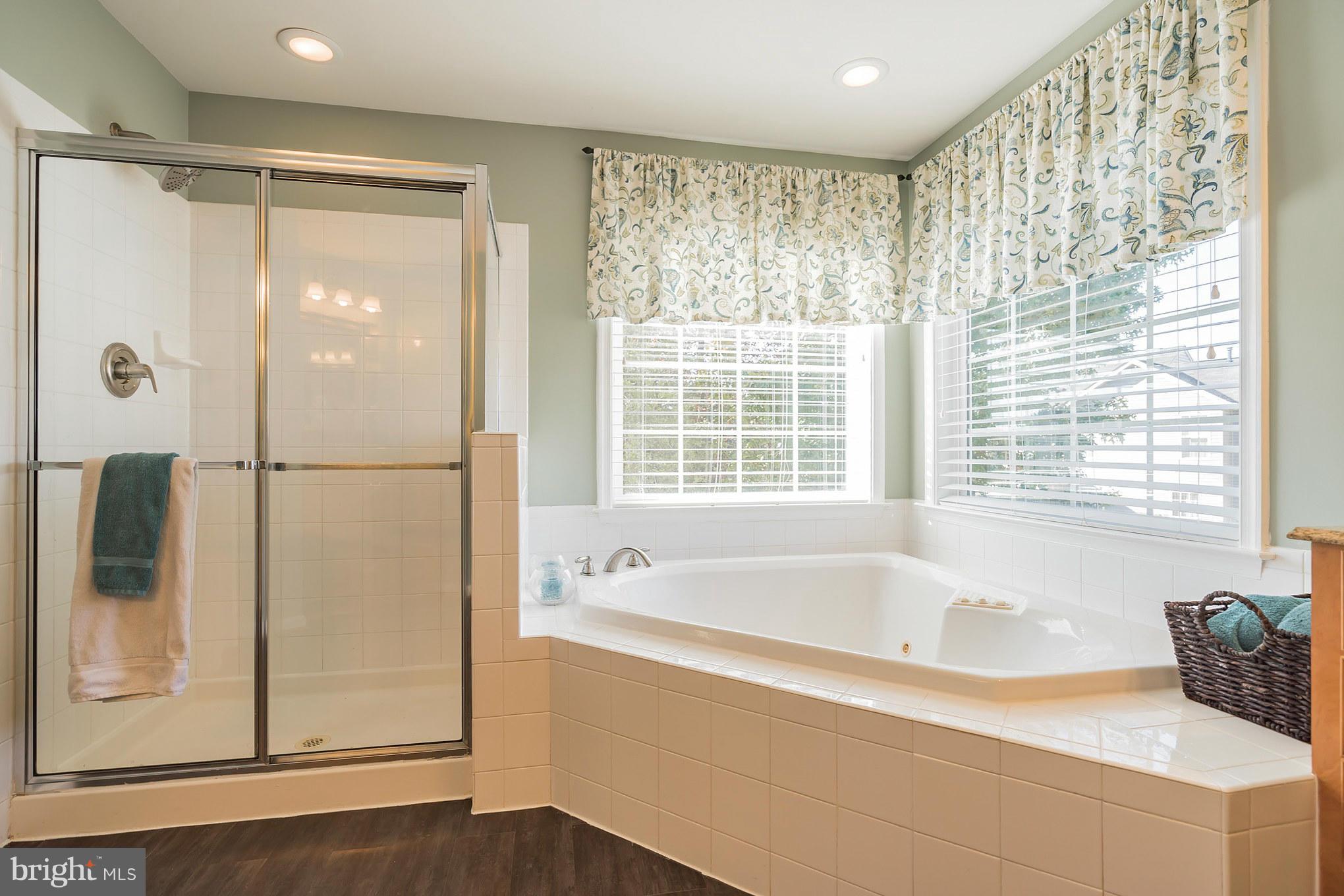 7562 Rio Grande Way Gainesville, VA 20155 - Photo 18 of 30 Bath (Master)