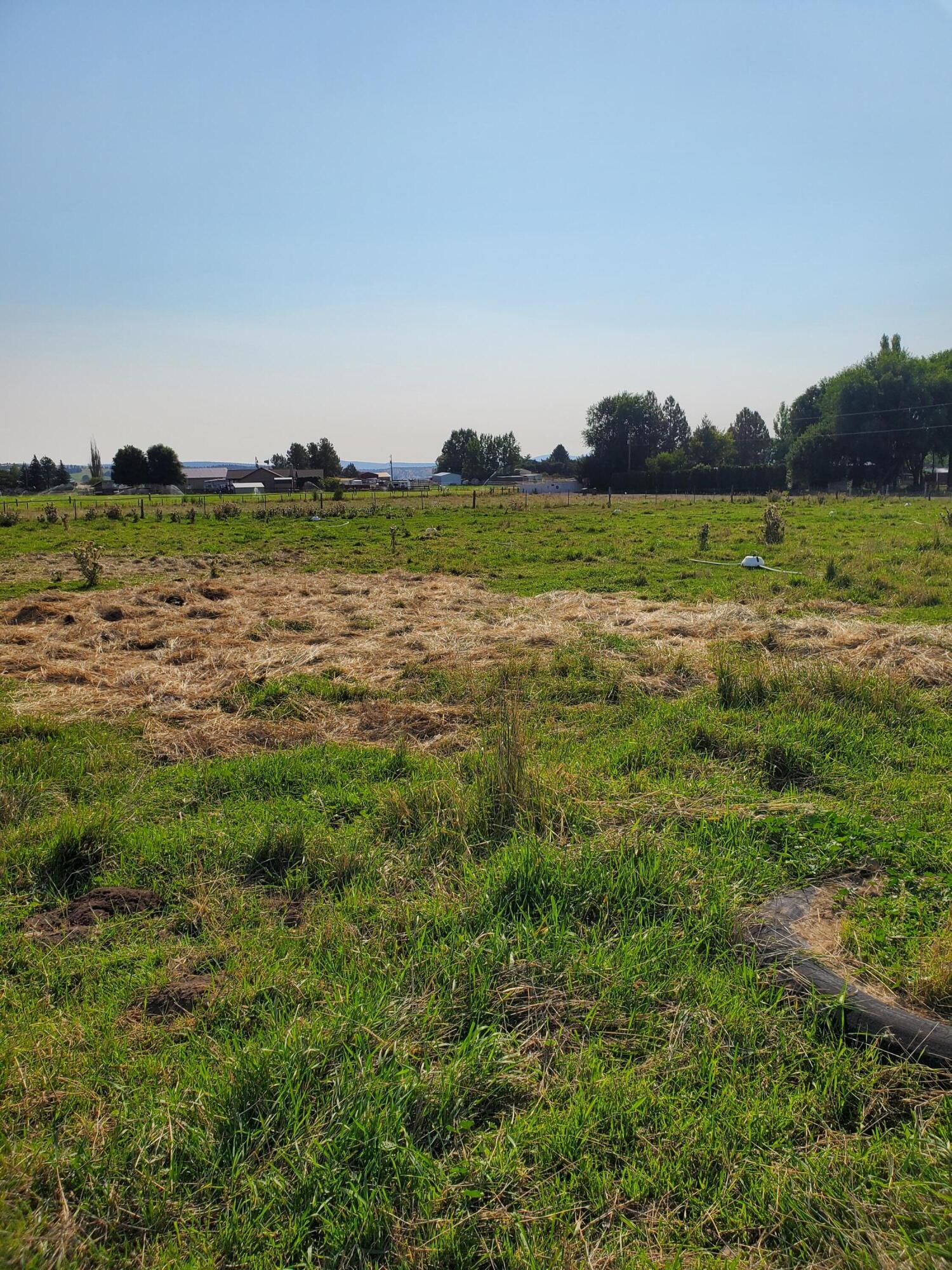 7552 Edwards Road Prineville, OR 97754 - Photo 14 of 18 Pasture