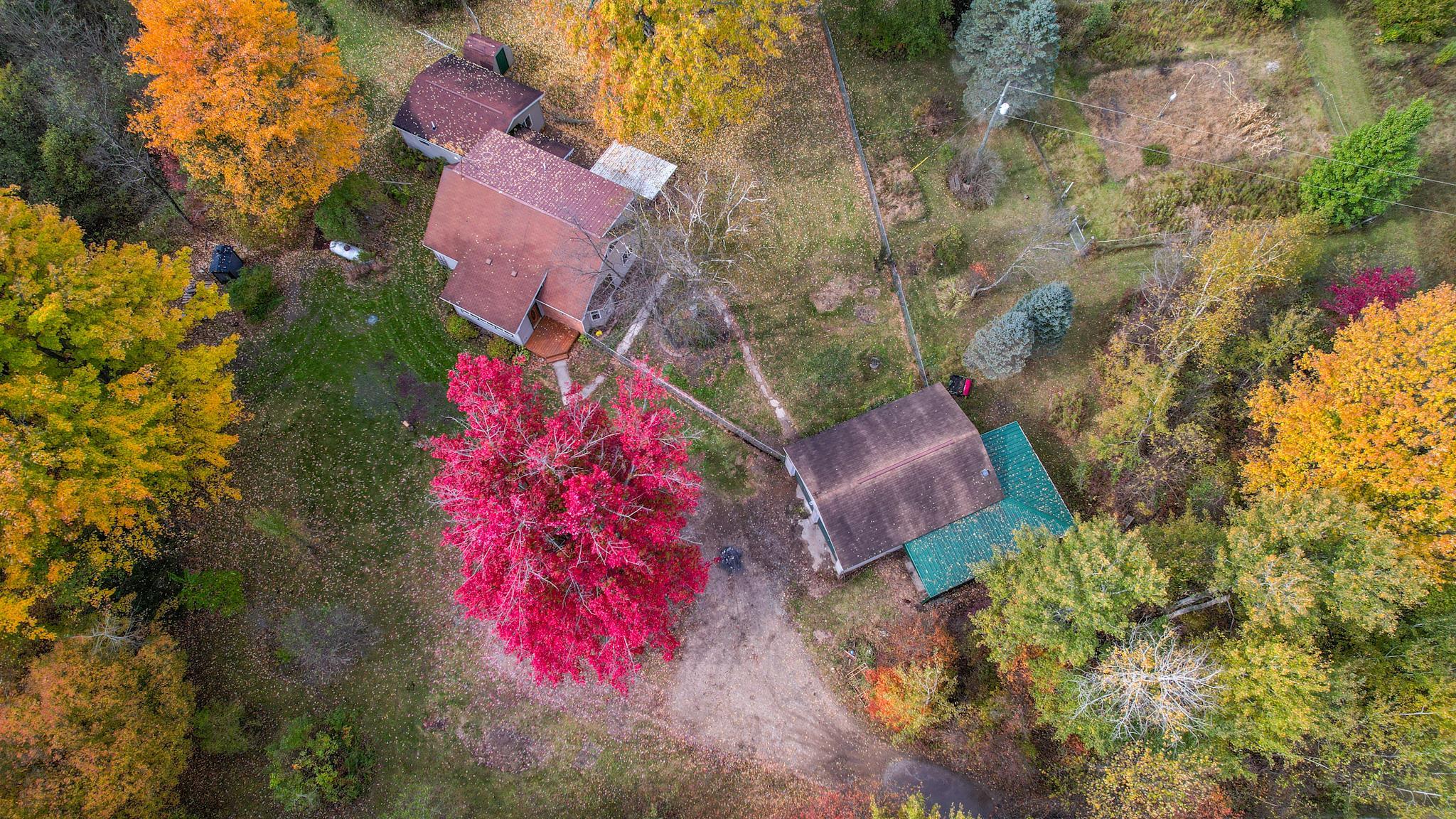 1167 West Sun Oil Road Gladwin, MI 48624 - Photo 58 of 75