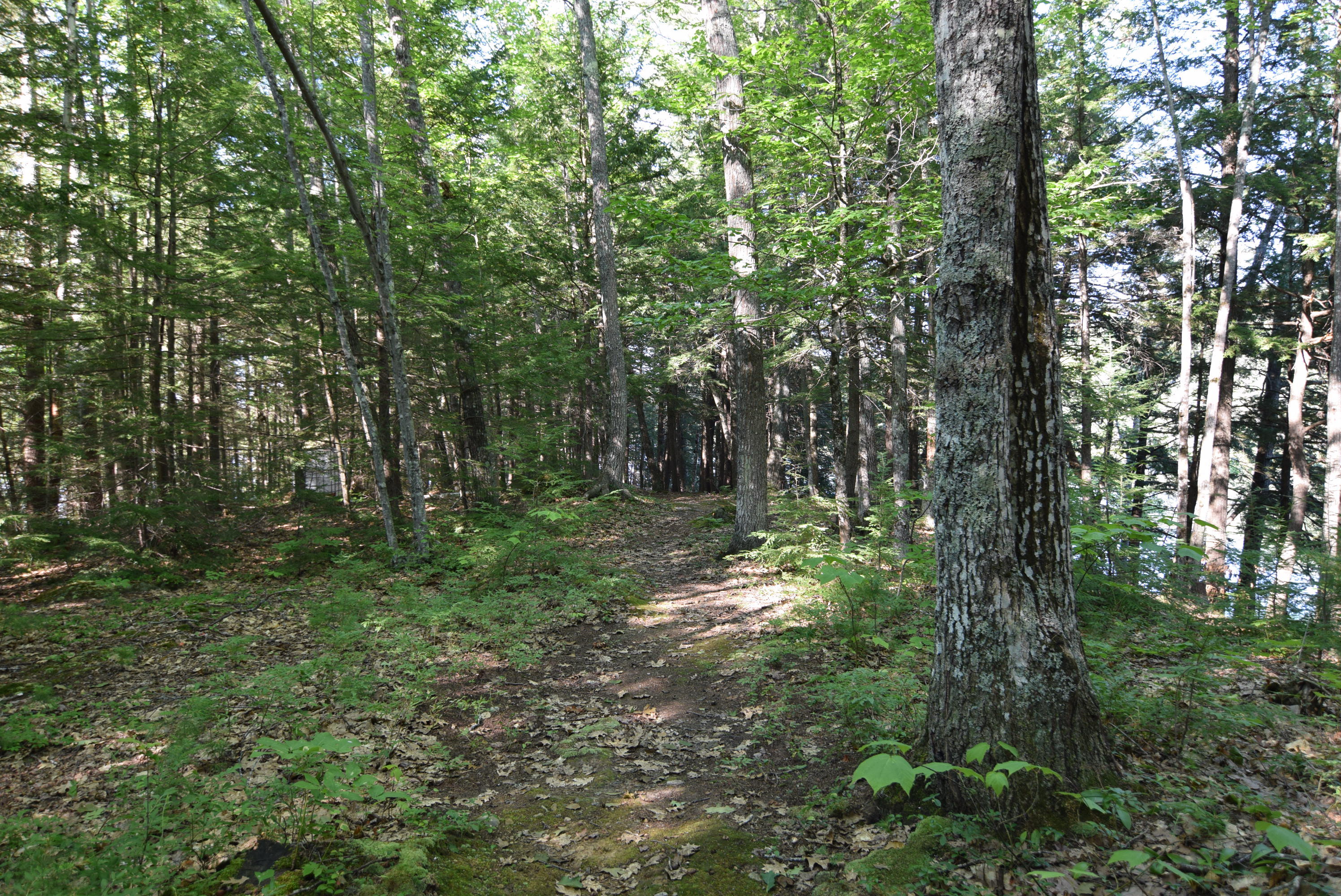 236 Chesterville Ridge Road Kents Hill, ME 04349 - Photo 27 of 41 27-path to house