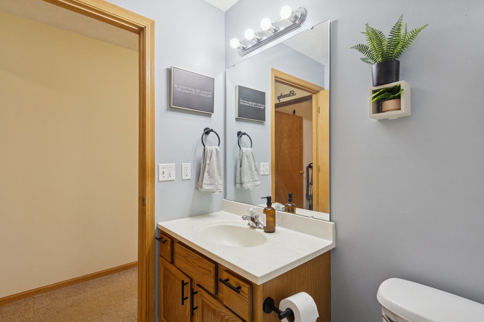 145 Penny Lane, Unit 1 Sycamore, IL 60178 - Photo 18 of 30 a bathroom with a sink vanity and a mirror