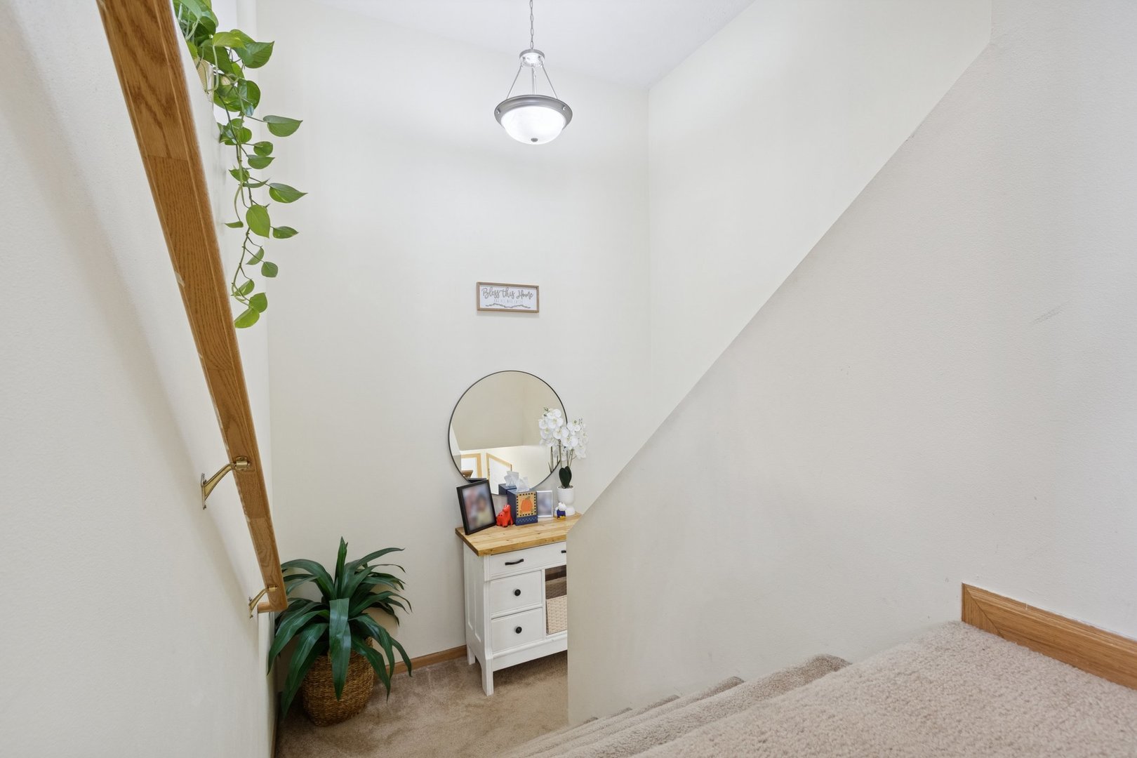 145 Penny Lane, Unit 1 Sycamore, IL 60178 - Photo 19 of 30 a hallway with painting on the wall and a potted plant