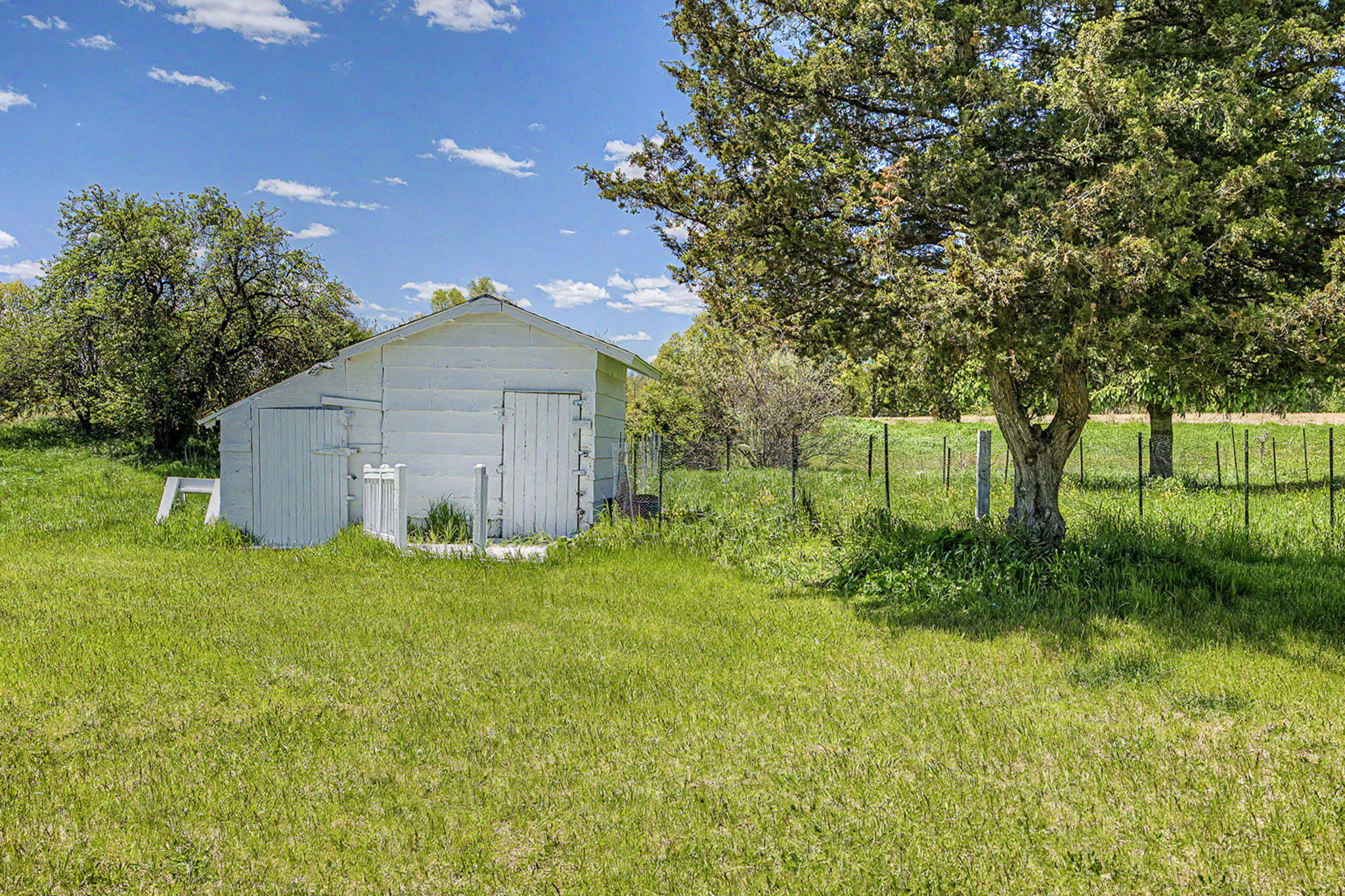 11641 17 Mile Road Marshall, MI 49068 - Photo 18 of 21 28-web-or-mls-CQ1A1061