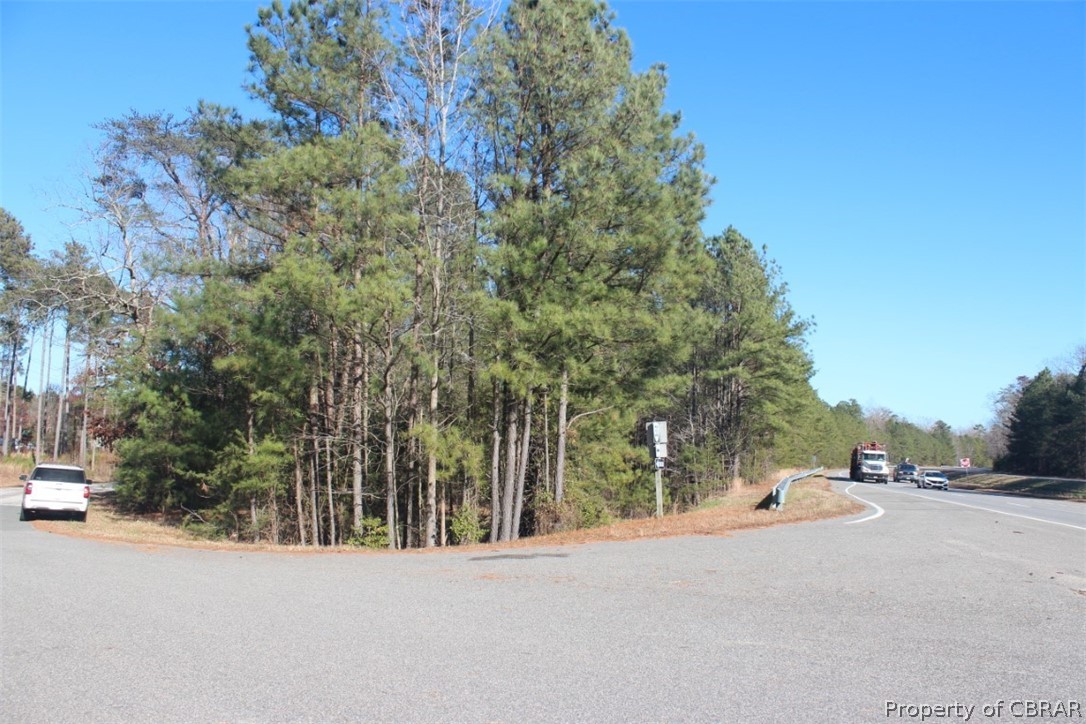 16.3-ac Pierce Road Saluda, VA 23149 - Photo 13 of 18