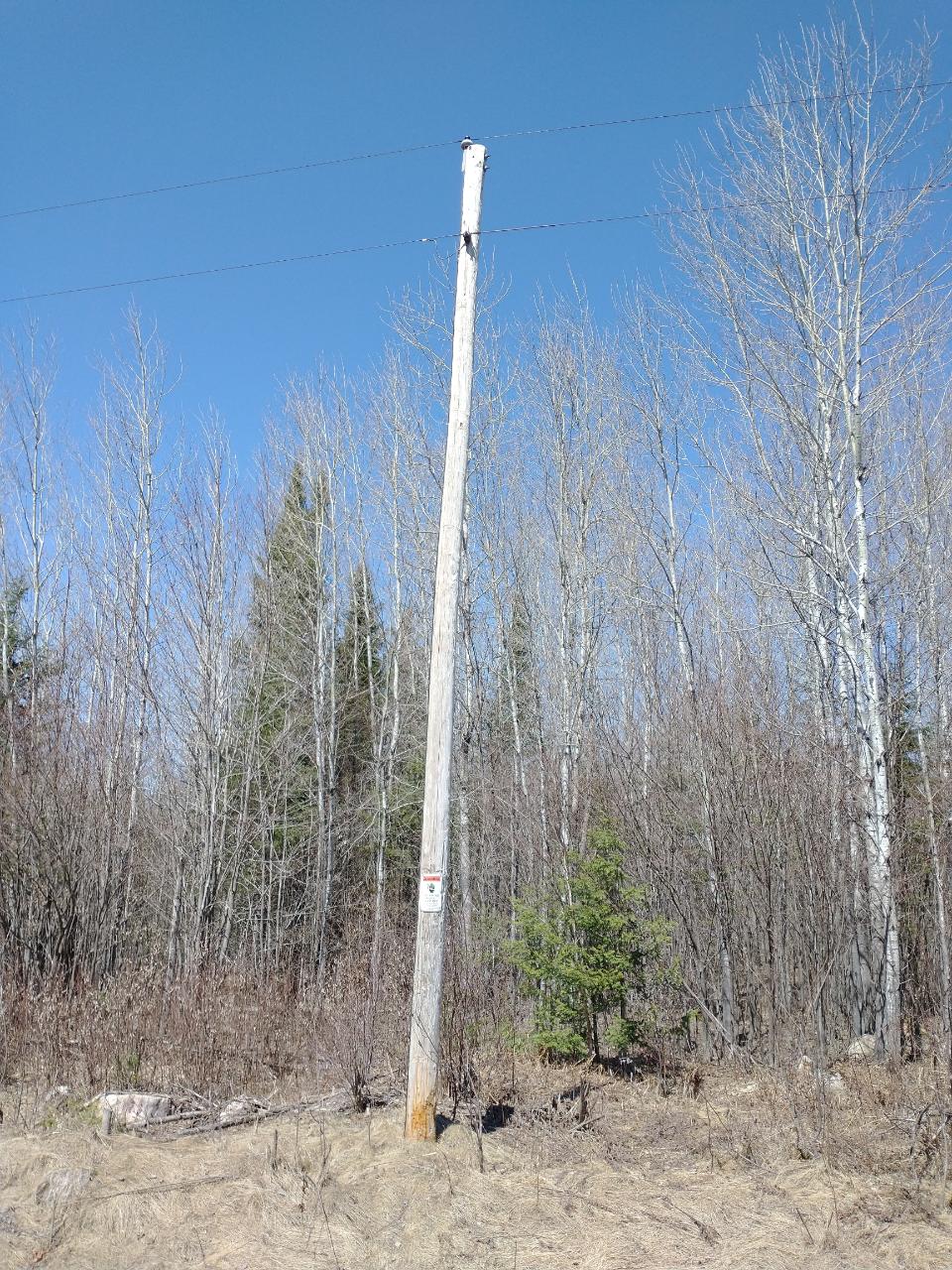 On On Thunder Stick Road, Unit 138 ACRES Glidden, WI 54527 - Photo 18 of 22 Gallery Image 18