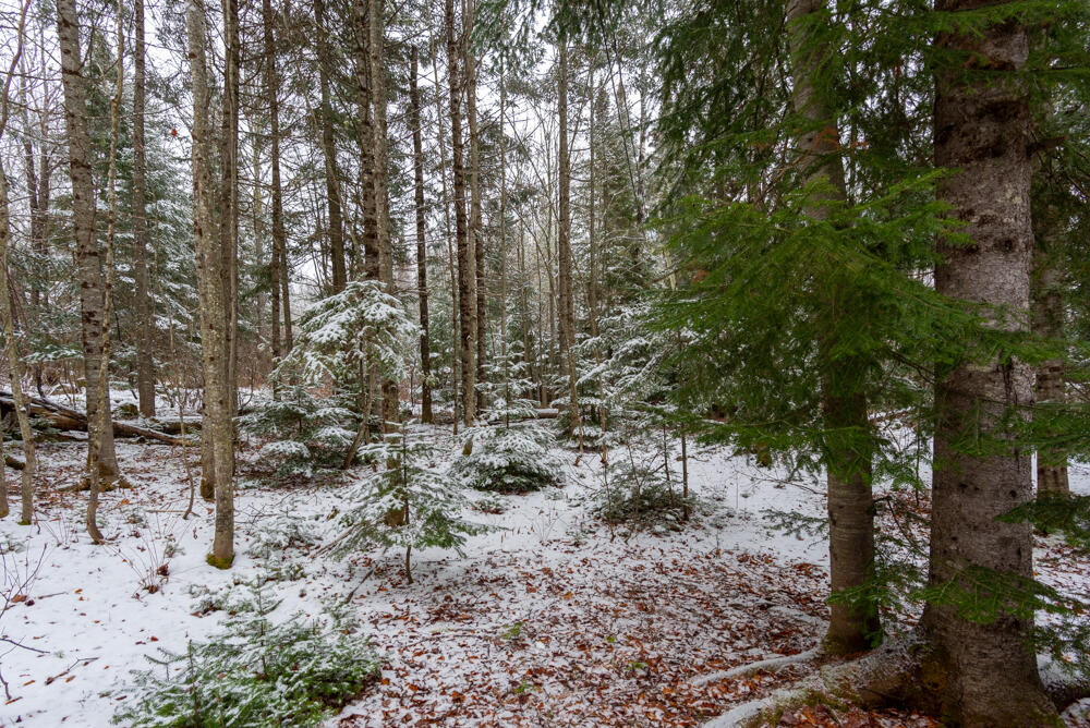 6 Balsam Ridge Road St. Francis, ME 04774 - Photo 9 of 43 _NIK3875