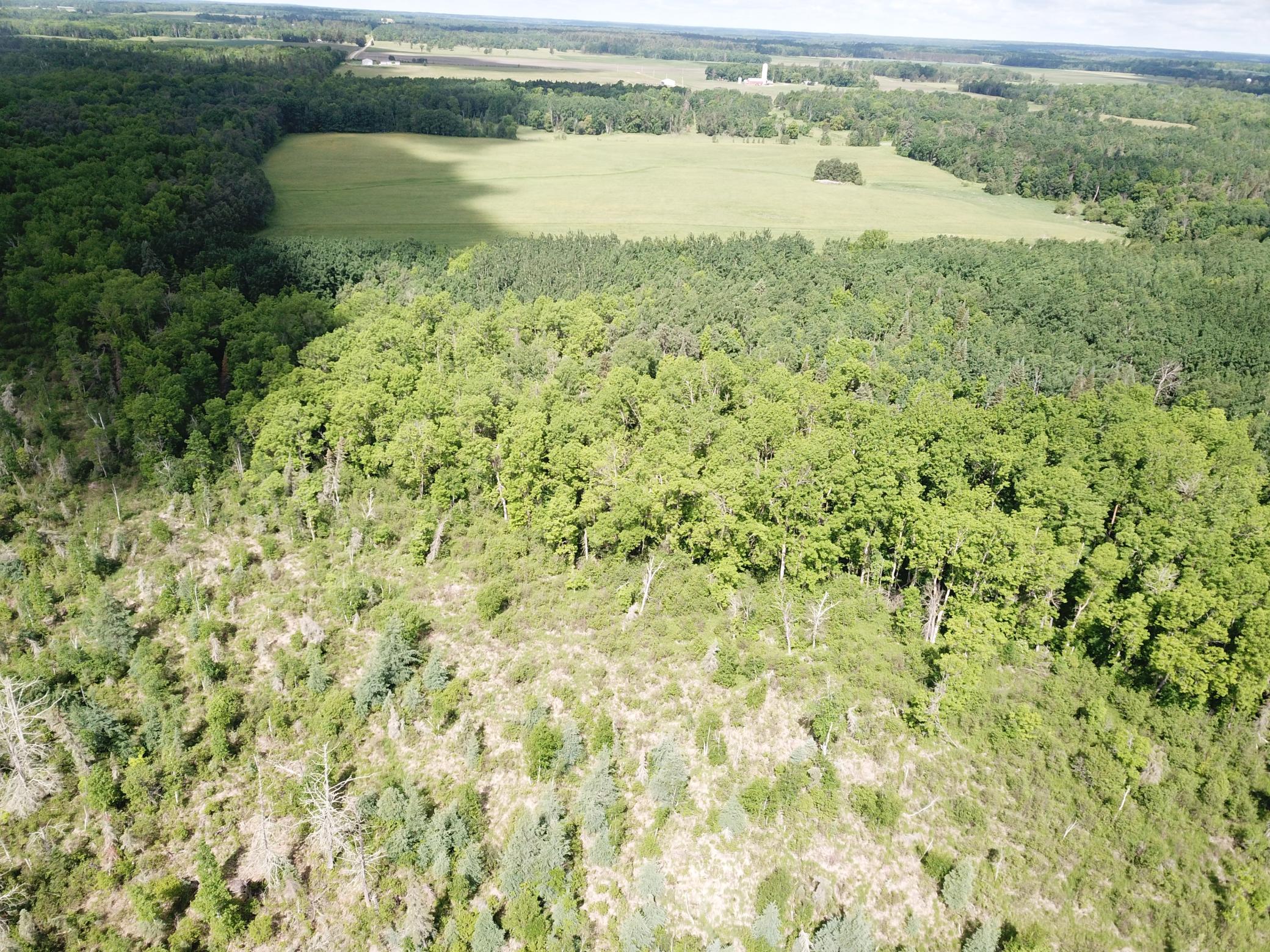 Tbd1 Mud Lake Road Bagley, MN 56621 - Photo 13 of 31