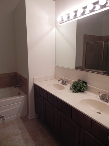 2807 Blakely Lane, Unit 2807 Naperville, IL 60540 - Photo 14 of 25