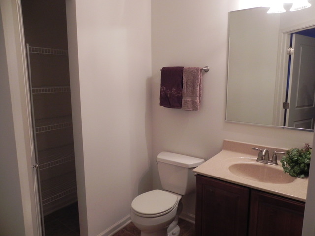 2807 Blakely Lane, Unit 2807 Naperville, IL 60540 - Photo 21 of 25