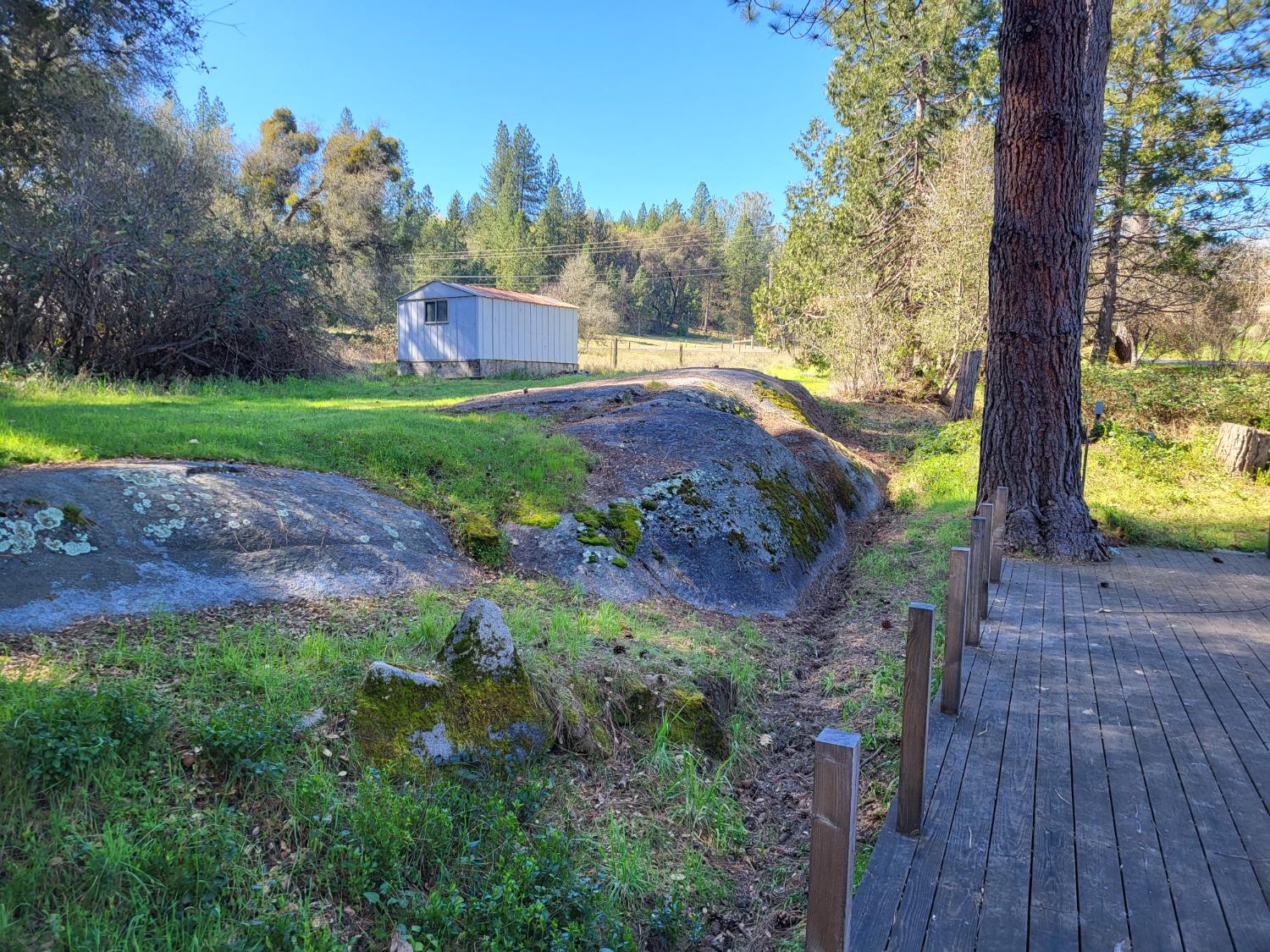 7935 Fairplay Road Somerset, CA 95684 - Photo 15 of 19 a view of a yard with plants and trees