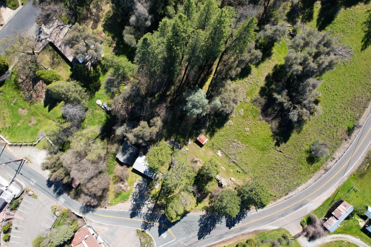 7935 Fairplay Road Somerset, CA 95684 - Photo 4 of 20 a view of a garden with plants