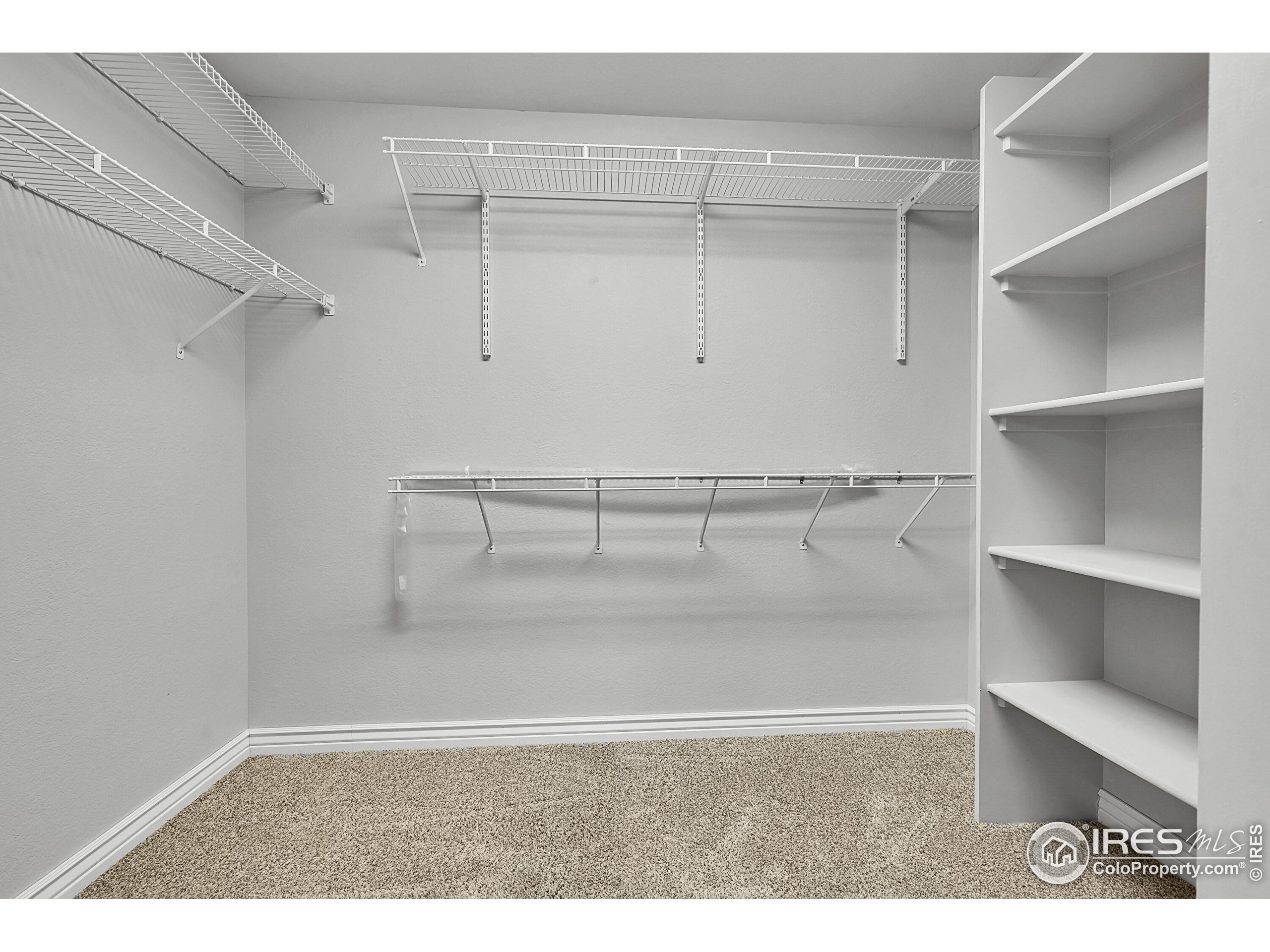 1420 Falcon Ridge Road Eaton, CO 80615 - Photo 25 of 48