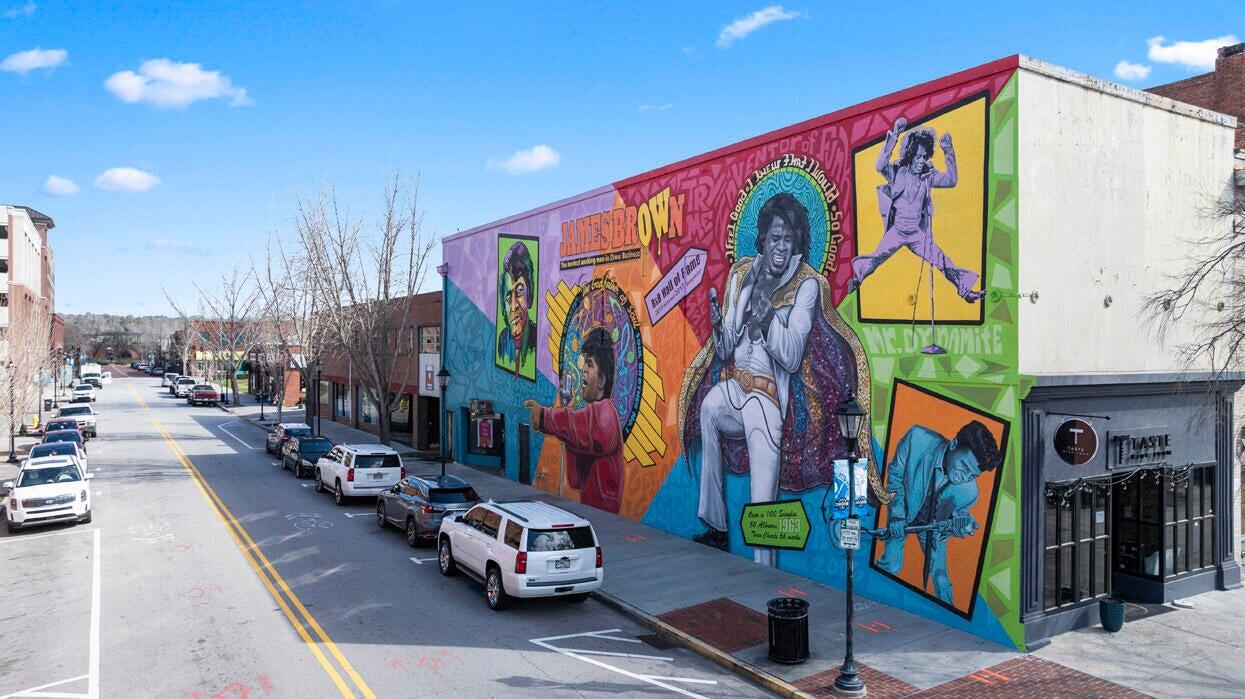 306 Ellis Street Augusta, GA 30901 - Photo 34 of 36 James Brown Mural