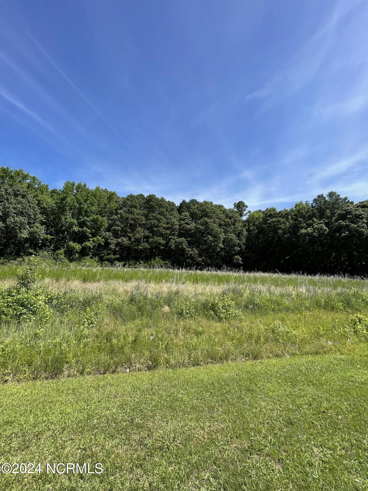 839-845 Cooper Hill Road Windsor, NC 27983 - Photo 6 of 11 Cooper Hill-6