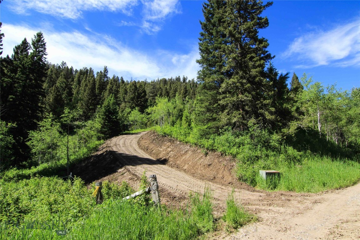 Tbd Stone Creek Road Bozeman, MT 59715 - Photo 1 of 1 39.92 acres tucked up a scenic side canyon in Bridger Canyon. New driveway access just installed.