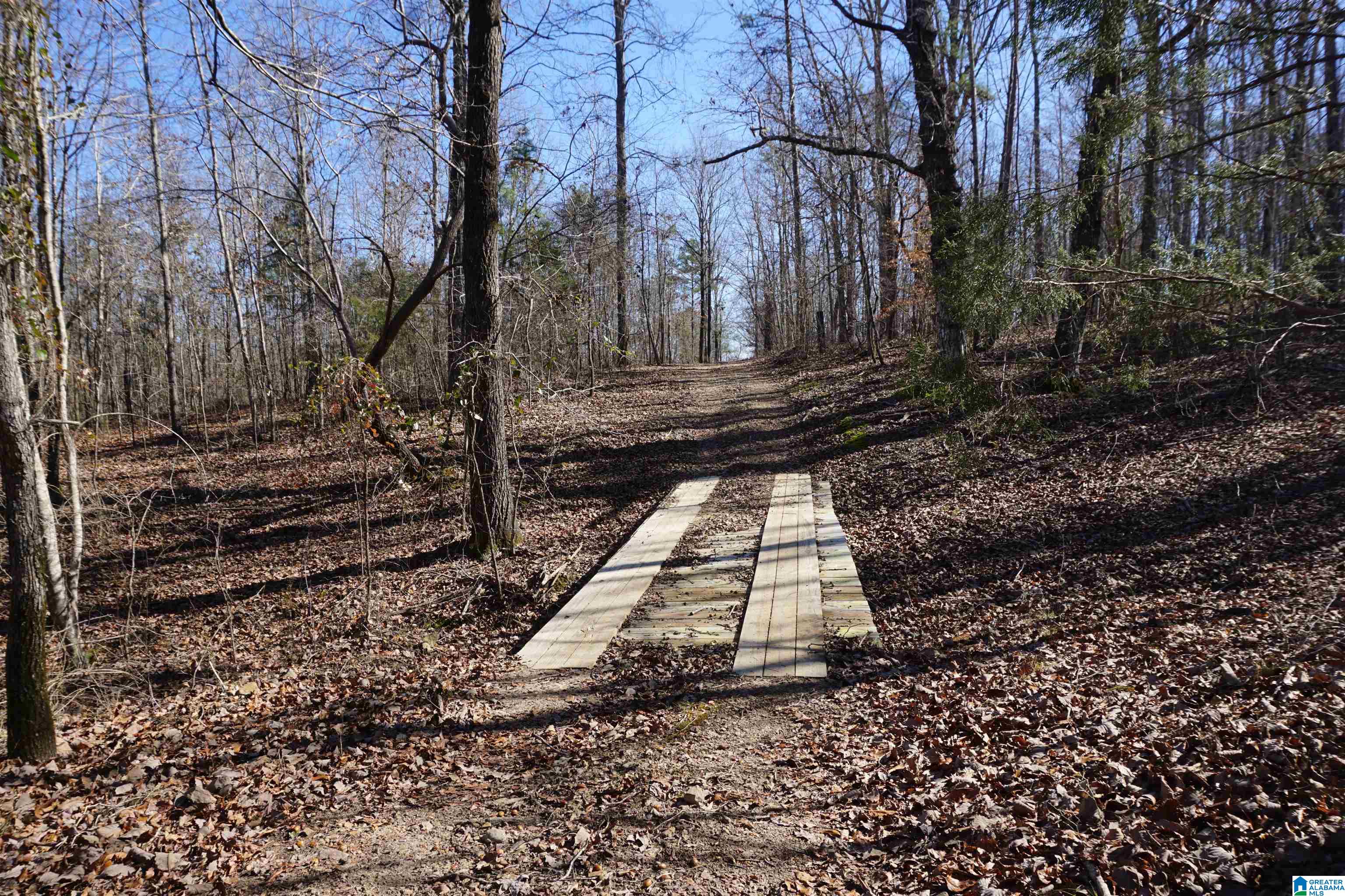 6171 Highway 102, Unit 1 Fayette, AL 35555 - Photo 53 of 68