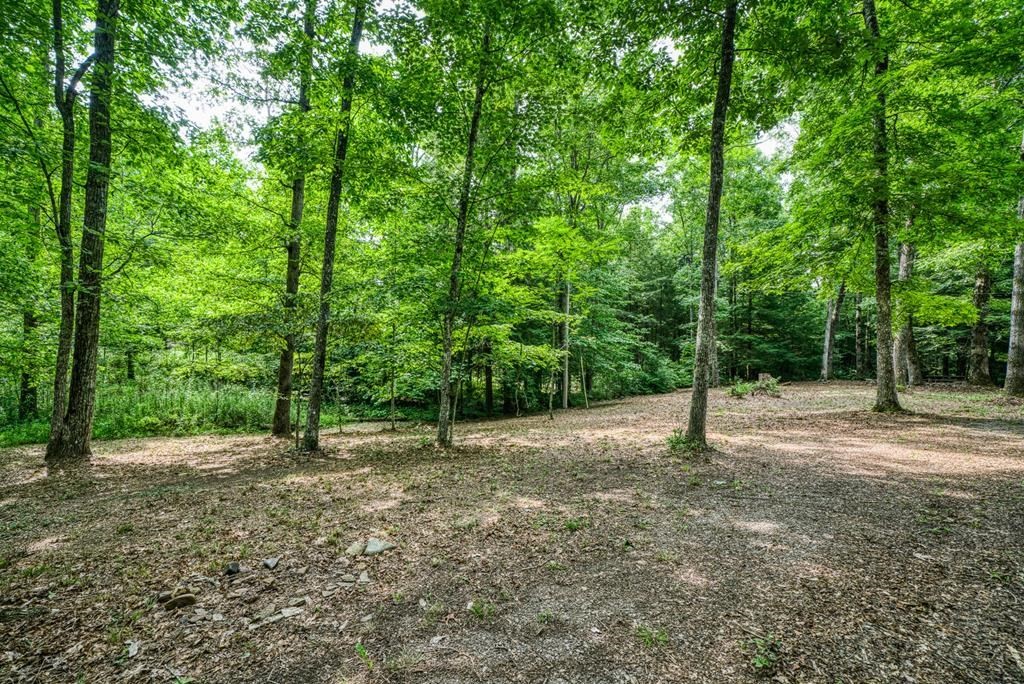 3700 Chapel Hill Road Crawford, TN 38554 - Photo 11 of 21 Gallery Image 11