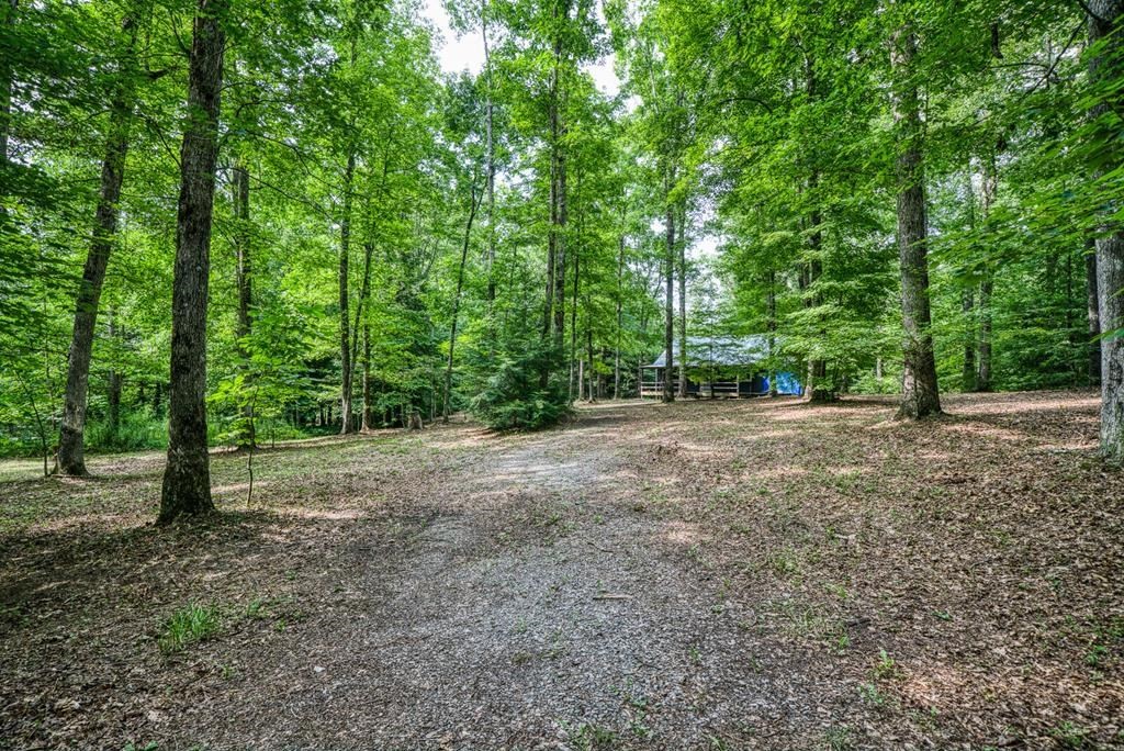 3700 Chapel Hill Road Crawford, TN 38554 - Photo 13 of 21 Gallery Image 13