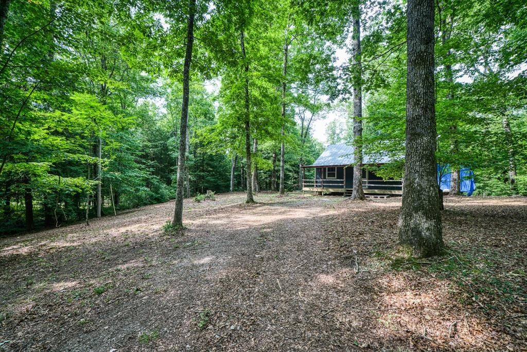 3700 Chapel Hill Road Crawford, TN 38554 - Photo 3 of 21 Gallery Image 3