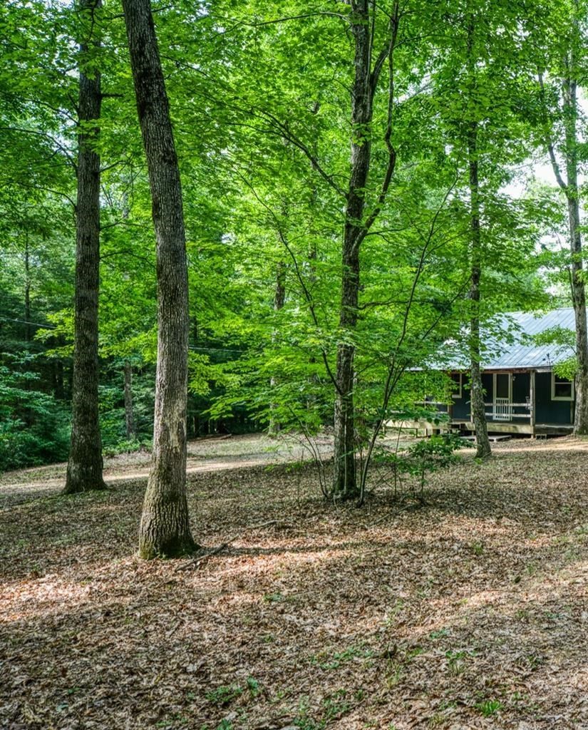 3700 Chapel Hill Road Crawford, TN 38554 - Photo 6 of 21 Gallery Image 6