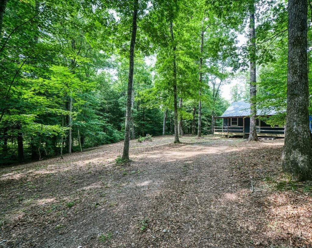 3700 Chapel Hill Road Crawford, TN 38554 - Photo 7 of 21 Gallery Image 7