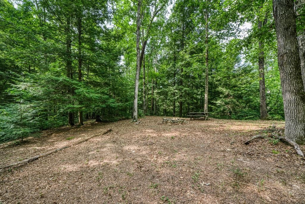 3700 Chapel Hill Road Crawford, TN 38554 - Photo 9 of 21 Gallery Image 9