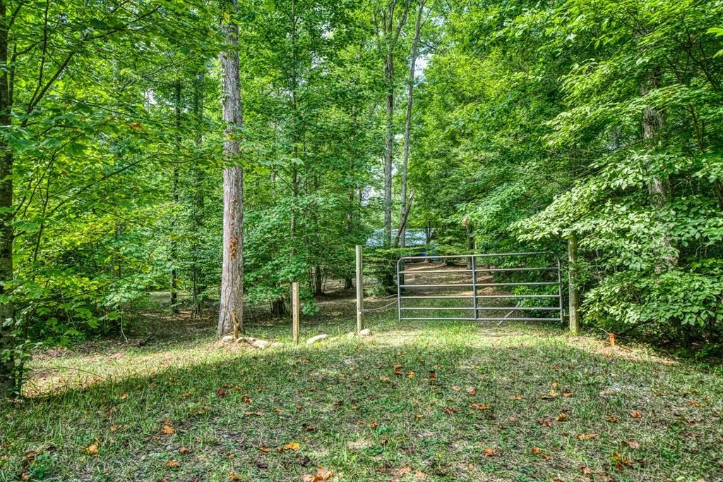 3700 Chapel Hill Road Crawford, TN 38554 - Photo 10 of 21 Gallery Image 10