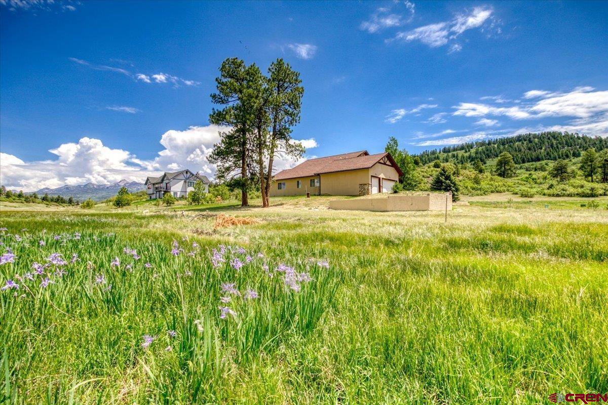 196 Dylan Drive Pagosa Springs, CO 81147 - Photo 44 of 44 a view of a house with a big yard