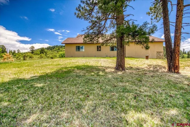 a big yard with an tree