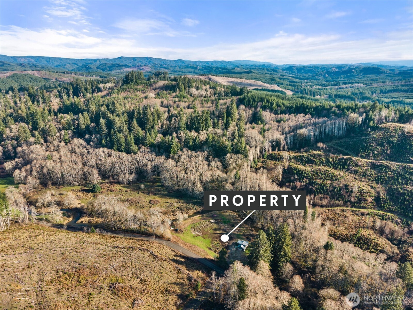 138 Ward Creek Road Raymond, WA 98577 - Photo 11 of 21 a view of a lake with mountains in the background