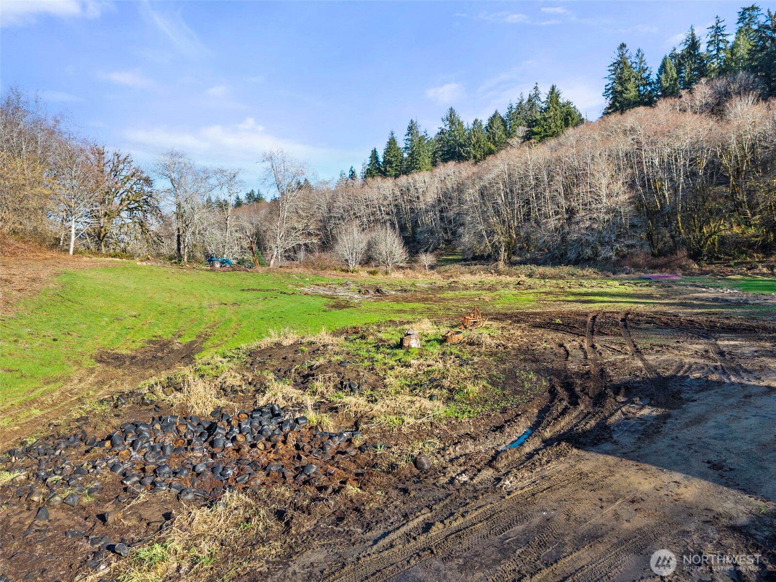 138 Ward Creek Road Raymond, WA 98577 - Photo 14 of 21 a view of a yard with an outdoor space