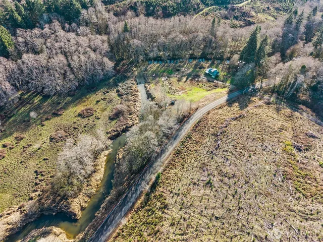 a view of a yard with plants and large trees