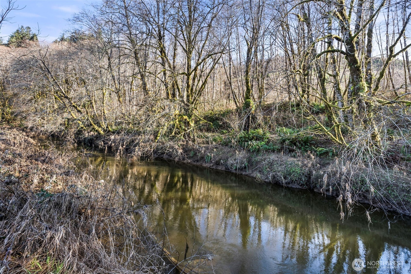 138 Ward Creek Road Raymond, WA 98577 - Photo 9 of 21 a view of lake with green space